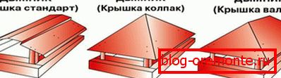 Врсте капија димњака