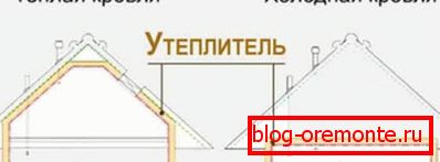 Топла и хладна кров