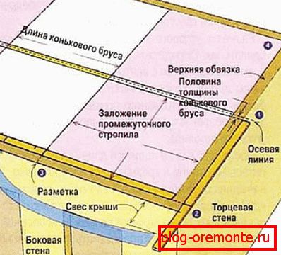 Означавање крова кичме