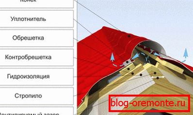 Кровни профил Риџа
