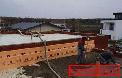 Разлуконка равна кровна пјена бетон