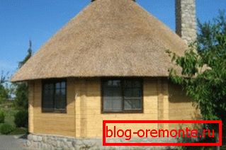 Повољна и лијепа вила у природи и ситни кров. Повољна и лијепа вила у природи и ситни кров.
