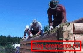 Коришћење маховине за загревање. Коришћење маховине за загревање.