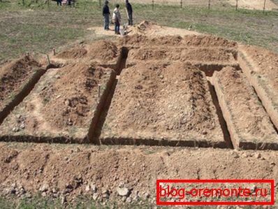 Пит ровови Пит ровови