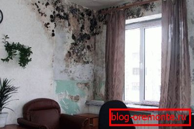 Аматерска фотографија бетонских зидова захваћених гљивама због повећане влаге Аматерска фотографија бетонских зидова захваћених гљивама због повећане влаге