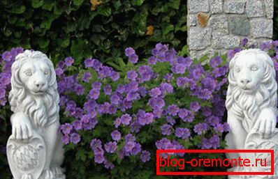 Неке врсте облика изгледа одлично без мрља. Неке врсте облика изгледа одлично без мрља.