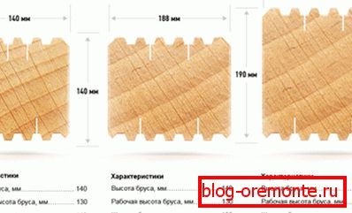 Одсек профила Одсек профила