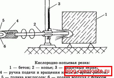 Шема кисеоника Шема кисеоника