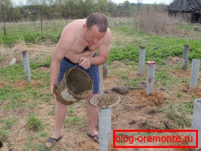 Пиле Девице Пиле Девице